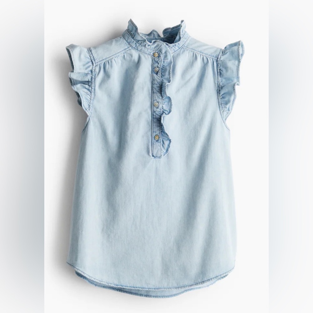 D5- H&M Women’s Large Ruffle Sleeve Top